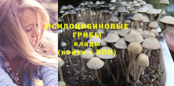 МДПВ Мурманск