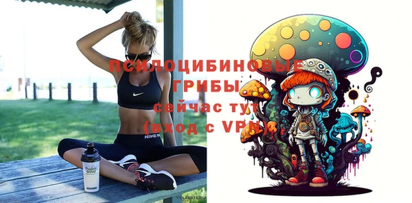 индика Магадан