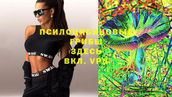 индика Магадан