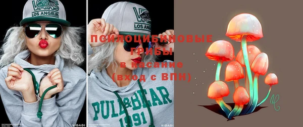 индика Магадан