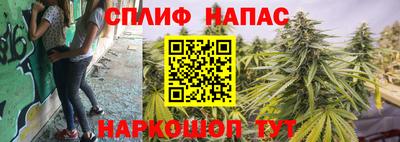 альфа пвп Заводоуковск