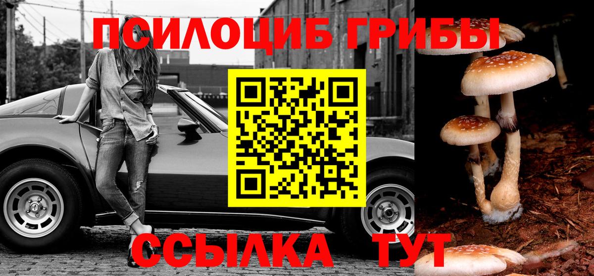 Галлюциногенные грибы мухоморы  Псилоцибиновые грибы Cubensis  Реутов 