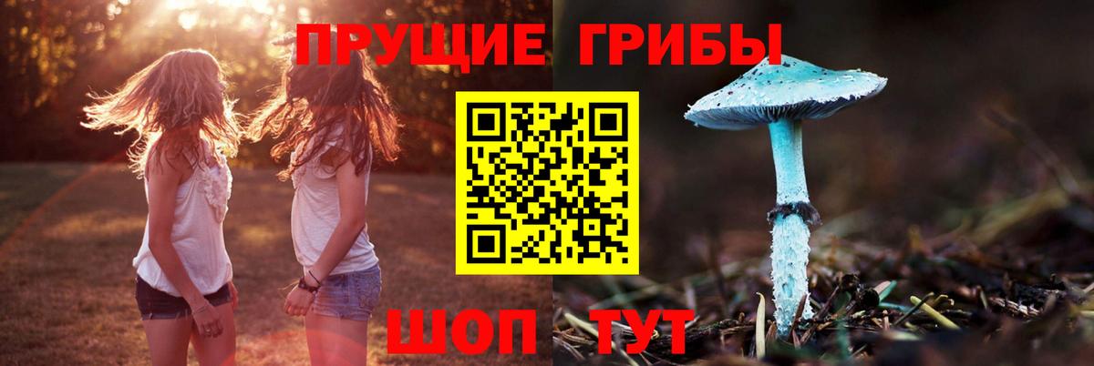 Псилоцибиновые грибы мицелий Реутов